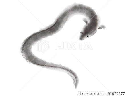 eel eel 91070377