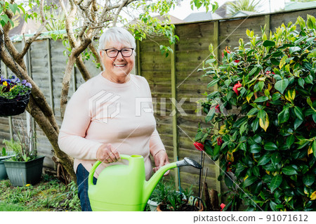 Portrait of happy, smiling senior, mature woman watering flowers with watering can in the garden in a sunny day. Retired elderly woman and gardening hobby. Active Retirement lifestyle. 91071612
