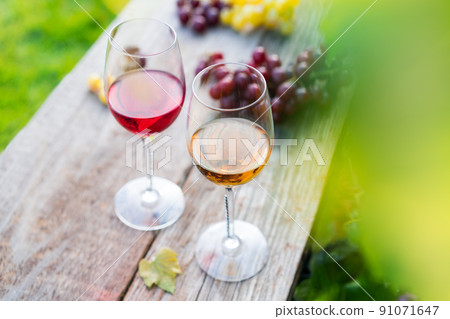 Glasses with white and red wine and grape berries on the wooden table in the vineyards, winery with green leaves background. Wine tasting, Degustation. Selective focus, Copy space Glasses with white and red wine and grape berries on the wooden table in the vineyards, winery with green leaves background. Wine tasting, Degustation. Selective focus, Copy space 91071647