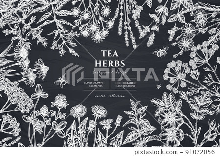 Tea herbs hand drawn illustration design. Background with chalk chamomile, mint, chicory, etc. Tea herbs hand drawn illustration design. Background with chalk chamomile, mint, chicory, etc. 91072056