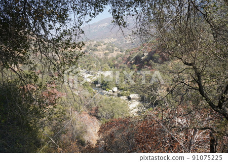 前往加利福尼亞州紅杉國家公園 前往加利福尼亞州紅杉國家公園 91075225