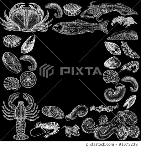 Seafood illustrations. Hand drawn line sea fishes, sushi rolls, oysters, mussels, lobster, squid, octopus, crabs, prawns 91075239