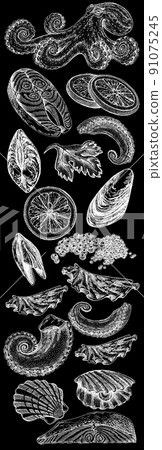 Seafood illustrations. Hand drawn line sea fishes, sushi rolls, oysters, mussels, lobster, squid, octopus, crabs, prawns 91075245