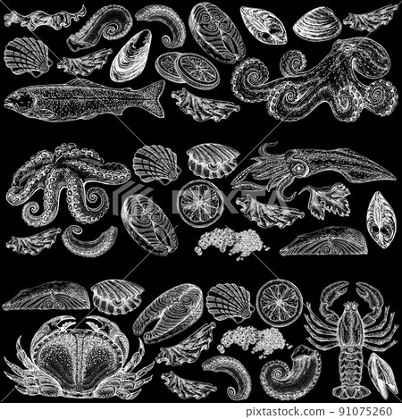 Seafood illustrations. Hand drawn line sea fishes, sushi rolls, oysters, mussels, lobster, squid, octopus, crabs, prawns 91075260