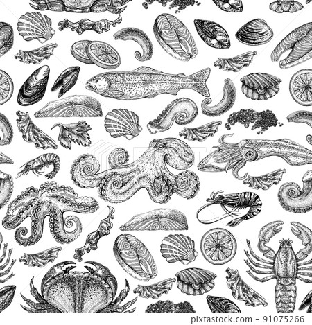 Seafood illustrations. Hand drawn line sea fishes, sushi rolls, oysters, mussels, lobster, squid, octopus, crabs, prawns Seafood illustrations. Hand drawn line sea fishes, sushi rolls, oysters, mussels, lobster, squid, octopus, crabs, prawns 91075266