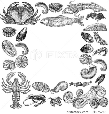 Seafood illustrations. Hand drawn line sea fishes, sushi rolls, oysters, mussels, lobster, squid, octopus, crabs, prawns Seafood illustrations. Hand drawn line sea fishes, sushi rolls, oysters, mussels, lobster, squid, octopus, crabs, prawns 91075268