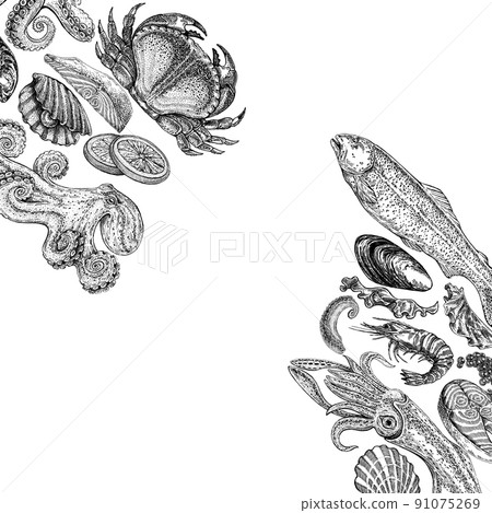 Seafood illustrations. Hand drawn line sea fishes, sushi rolls, oysters, mussels, lobster, squid, octopus, crabs, prawns 91075269