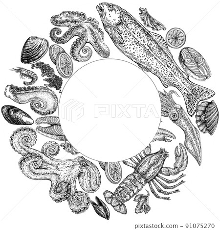 Seafood illustrations. Hand drawn line sea fishes, sushi rolls, oysters, mussels, lobster, squid, octopus, crabs, prawns Seafood illustrations. Hand drawn line sea fishes, sushi rolls, oysters, mussels, lobster, squid, octopus, crabs, prawns 91075270