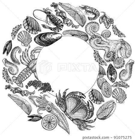 Seafood illustrations. Hand drawn line sea fishes, sushi rolls, oysters, mussels, lobster, squid, octopus, crabs, prawns Seafood illustrations. Hand drawn line sea fishes, sushi rolls, oysters, mussels, lobster, squid, octopus, crabs, prawns 91075275