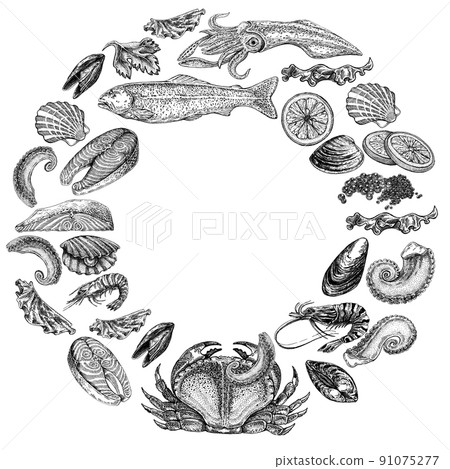 Seafood illustrations. Hand drawn line sea fishes, sushi rolls, oysters, mussels, lobster, squid, octopus, crabs, prawns Seafood illustrations. Hand drawn line sea fishes, sushi rolls, oysters, mussels, lobster, squid, octopus, crabs, prawns 91075277