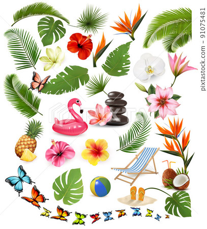 Big collection of exotic and tropical leaves and plant, flowers and travel vacation supplies. Vector Big collection of exotic and tropical leaves and plant, flowers and travel vacation supplies. Vector 91075481