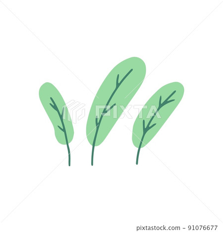 Organic shape of green plant, tree. Modern trendy icon of plant, foliage. Flat natural vector illustration with floral for advertisement, promotion Organic shape of green plant, tree. Modern trendy icon of plant, foliage. Flat natural vector illustration with floral for advertisement, promotion 91076677