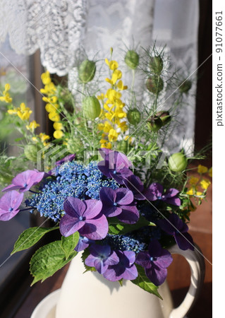 Decorate the bay window with hydrangea in the garden Decorate the bay window with hydrangea in the garden 91077661
