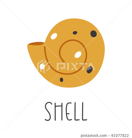 Underwater sea brown shell illustration Underwater sea brown shell illustration 91077822