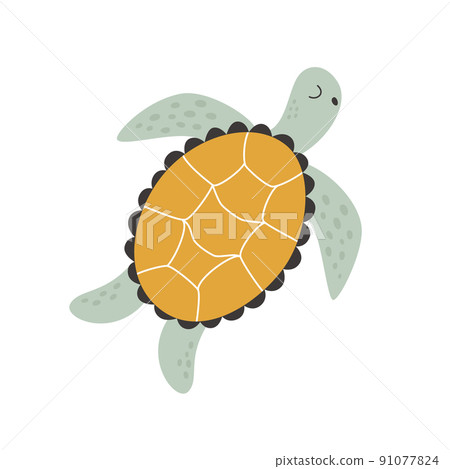 Under water, a cute turtle swims under the water like a beast Under water, a cute turtle swims under the water like a beast 91077824