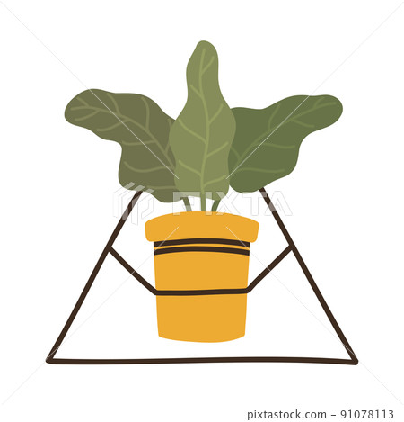 Botanical decorative leafy plant alokasia in Scandinavian pot in boho style Botanical decorative leafy plant alokasia in Scandinavian pot in boho style 91078113