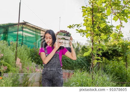 proximity agriculture gardener. organic vegetables. Venezuelan Latin urban gardening food 91078605