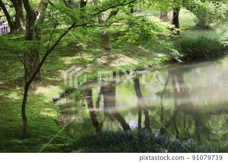 一個公園的景觀，水面上有一個池塘，反映了一片新鮮的綠葉森林 91079739