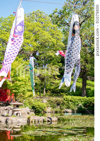 Carp streamer in Sudo Park / Bunkyo-ku, Tokyo Carp streamer in Sudo Park / Bunkyo-ku, Tokyo 91079800