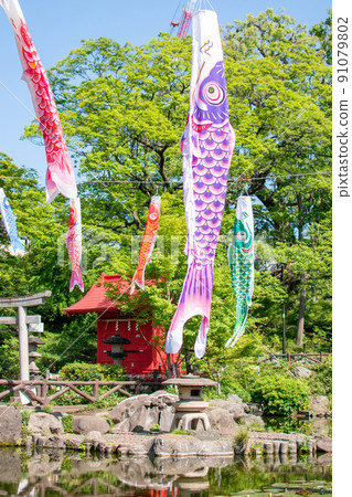 Carp streamer in Sudo Park / Bunkyo-ku, Tokyo Carp streamer in Sudo Park / Bunkyo-ku, Tokyo 91079802