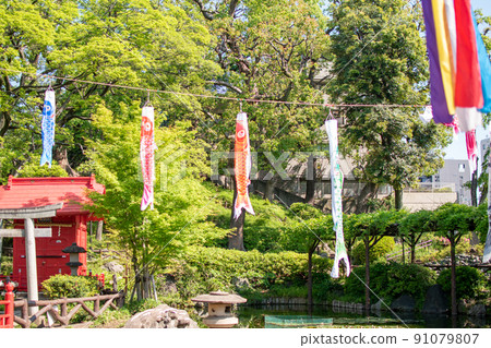 Carp streamer in Sudo Park / Bunkyo-ku, Tokyo Carp streamer in Sudo Park / Bunkyo-ku, Tokyo 91079807