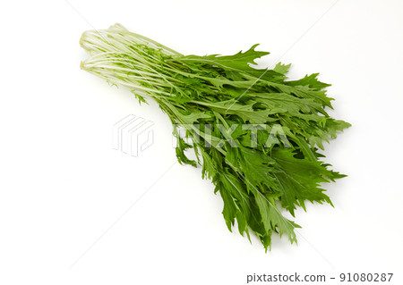 水菜蔬菜 91080287