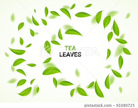 Green tea vector background mint eco illustration. Organic green tea flying leaf fresh concept Green tea vector background mint eco illustration. Organic green tea flying leaf fresh concept 91080725