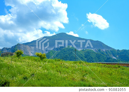 武科山 春天的景色 新鮮的綠色季節 武科山 春天的景色 新鮮的綠色季節 91081055