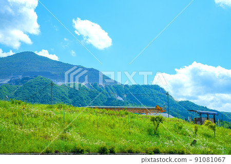 Mt. Buko Spring scenery Fresh green season Mt. Buko Spring scenery Fresh green season 91081067