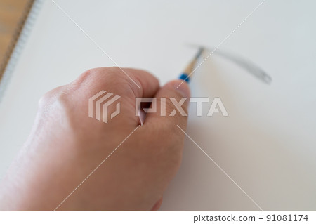 Pencil drawing 91081174