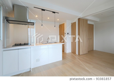 Mansion LDK 91081857