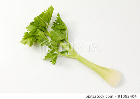 芹菜 芹菜 91082404