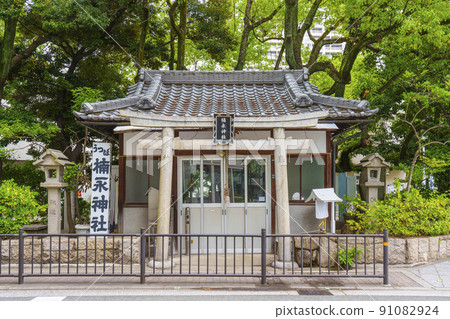 Utsubo Kusunaga Shrine Fresh green season 91082924