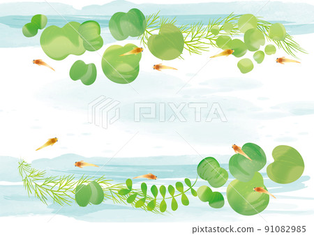 青鱂水生植物日式插畫 青鱂水生植物日式插畫 91082985