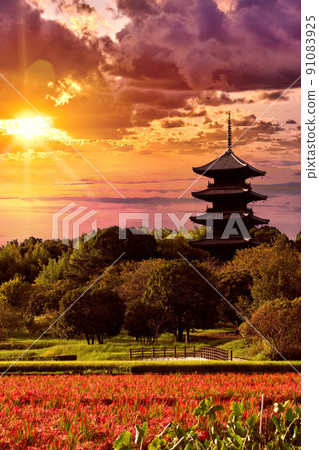 Beautiful autumn countryside | Evening view of Bitchū Kokubunji 91083925
