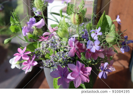 Decorate the bay window with hydrangea 91084195