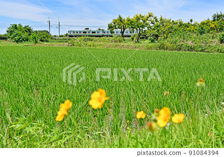 JR東日本:宇都宮線(東北本線)E231系列 JR東日本:宇都宮線(東北本線)E231系列 91084394
