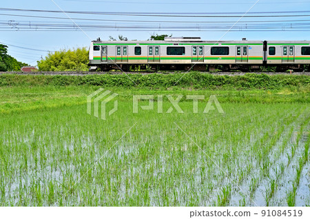 JR東日本：宇都宮線（東北本線） E233 series U629F（宮山） 91084519