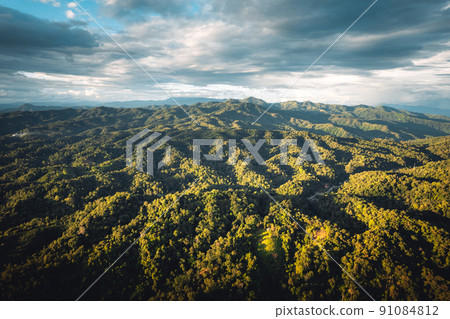 mountains and green trees in the evening 91084812
