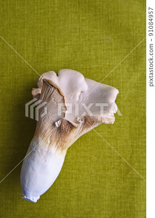 Tamashiro Mushroom Tamashirotake是一種美味的幻影蘑菇。山里的鮑魚。 91084957