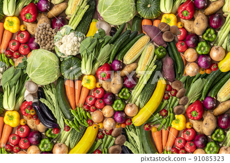 Colorful vegetables Vegetable set 91085323