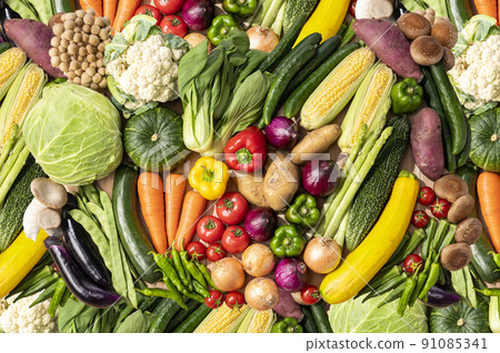 五顏六色的蔬菜蔬菜集 91085341