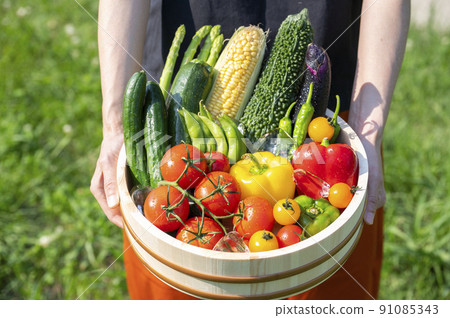 Colorful vegetables Vegetable set 91085343