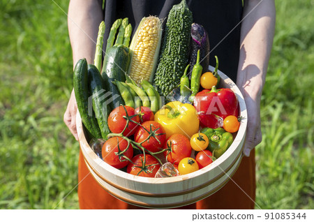 Colorful vegetables Vegetable set 91085344