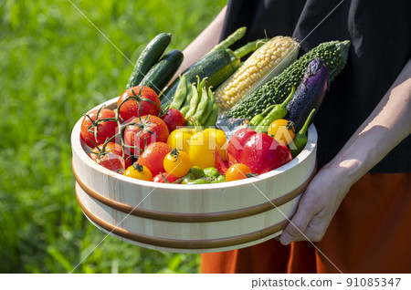Colorful vegetables Vegetable set Colorful vegetables Vegetable set 91085347