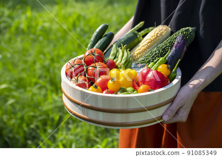 Colorful vegetables Vegetable set 91085349