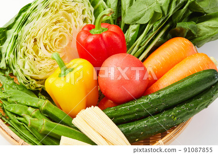 Vegetable set cabbage carrot spinach tomato okra baby corn pods Vegetable set cabbage carrot spinach tomato okra baby corn pods 91087855