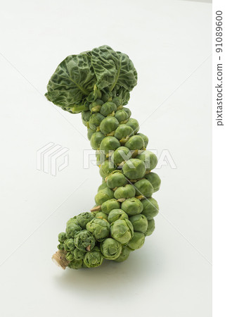 Brussels sprouts 91089600