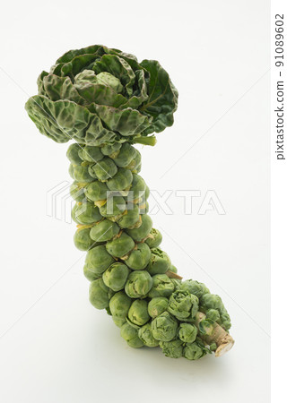 Brussels sprouts 91089602