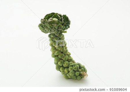 Brussels sprouts 91089604